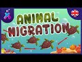 Migration and Orientation in Animals
