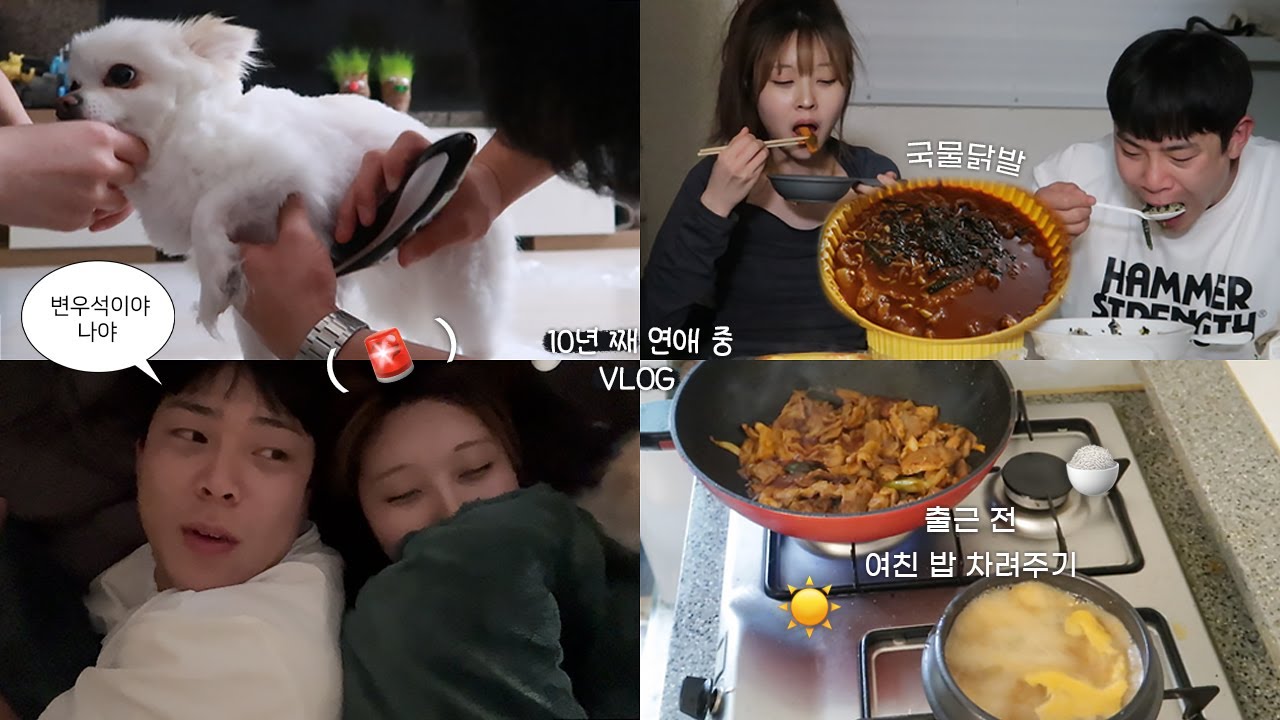 다정한 사람 만나야하는 이유 l 생리하는 여친 위해 출근 전 요리하는 남자 🥺 l 변우석 진심녀 l 강아지 셀프 미용 l 국물닭발 [장기연애 브이로그]