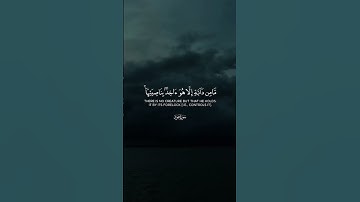 القارئ الشيخ مشاري فالح