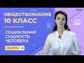 Социальная сущность человека. Видеоурок 3. Обществознание  10 класс