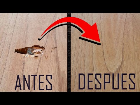 Video: 3 formas de reconocer las picaduras de pulgas