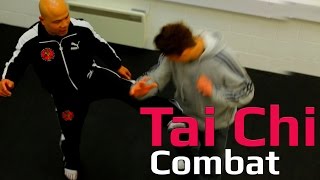 Tai chi combat tai chi chuan - tai chi attack body. Q48