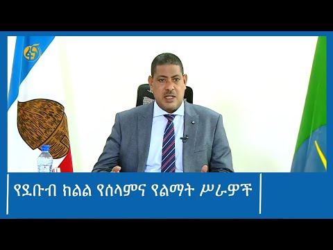 የደቡብ ክልል የሰላምና የልማት ሥራዎች #ፋና_ዜና #ፋና_90