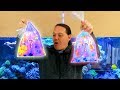 Unboxing surprise frags from world wide corals