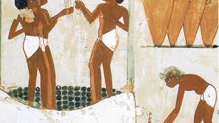 Fermentation(food) | Wikipedia audio article