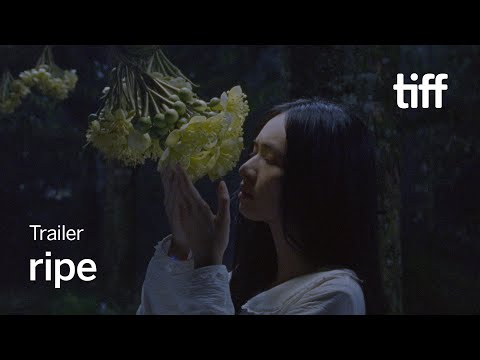 RIPE Trailer | TIFF 2025