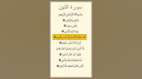 سورة التين والزيتون