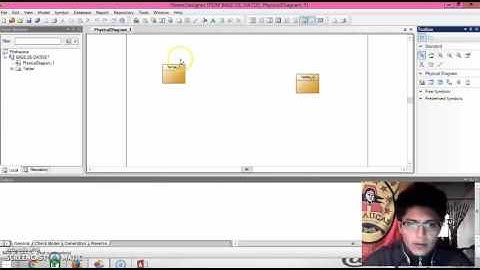 VIDEO 5. POWER DESIGNER PHYSICAL DATA