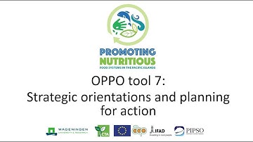 OPPO Tool 7: Strategic Orientations and Planning for Action (Part 1)