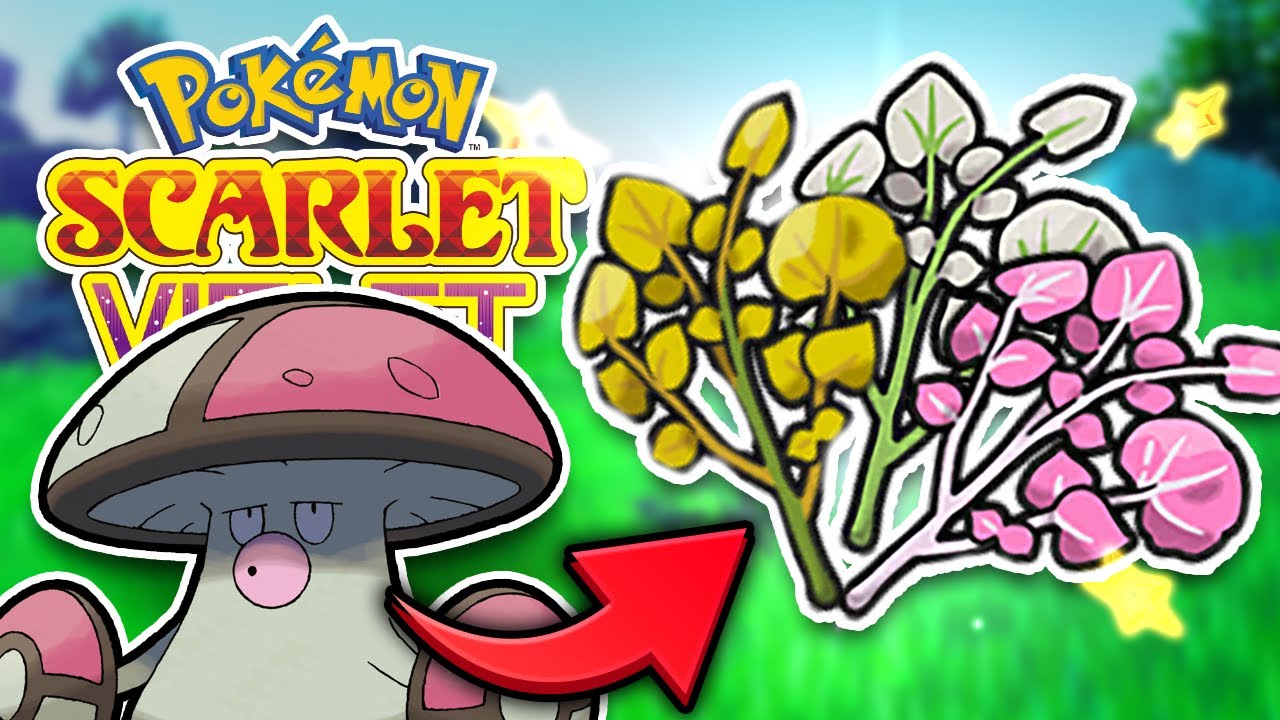 Hosting Herba Mystica Raids in Pokemon Scarlet and Violet! (6 Herbs