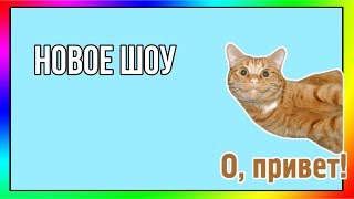 Новое шоу #1 / Коты Воители