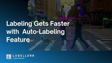 Streamline Data Annotation with Labeler’s Auto-Labeling Features | Labellerr