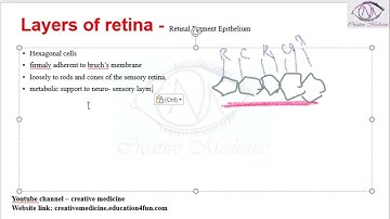 Lec 2 Layers of retina   Retinal Pigment Epithelium mp4 || Ophthalmology