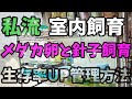 メダカ卵カビ防止メチレン孵化率UP管理と生クロレラグリーンウォーターで針子稚魚室内飼育方法.夜桜.スーパー魔王改.安らぎAQUAちゃんねる