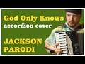 The Beach Boys - God Only Knows (accordion cover)