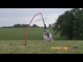 Tether Tug   Medium Dog Toy Demo