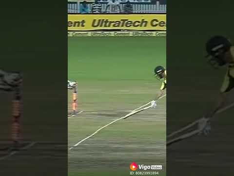 Video: Kriketas 07 šį Lapkritį