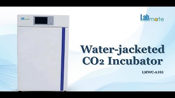 Labmate Water-jacketed CO₂ Incubator LMWC-A101 – Stable, Sterile & Research-Optimized