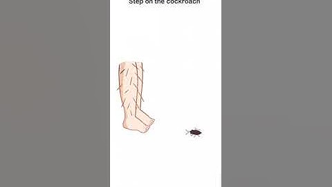 Brain Out Beat Them All Level 7 Walkthrough - step on the cockroach