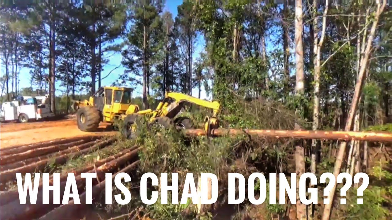 logging