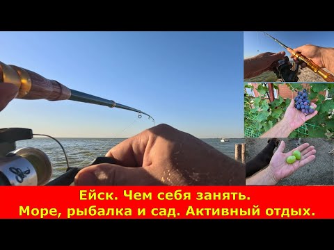 Ейск. Чем себя занять. Море, рыбалка и сад. Активный отдых.