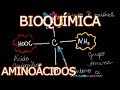 Aula: Bioquímica Médica - Aminoácidos | Bioquímica #1