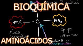 Aula: Bioquímica Médica - Aminoácidos | Bioquímica #1