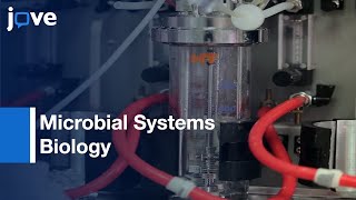 Chemostats In Microbial Systems Biology l Protocol Preview