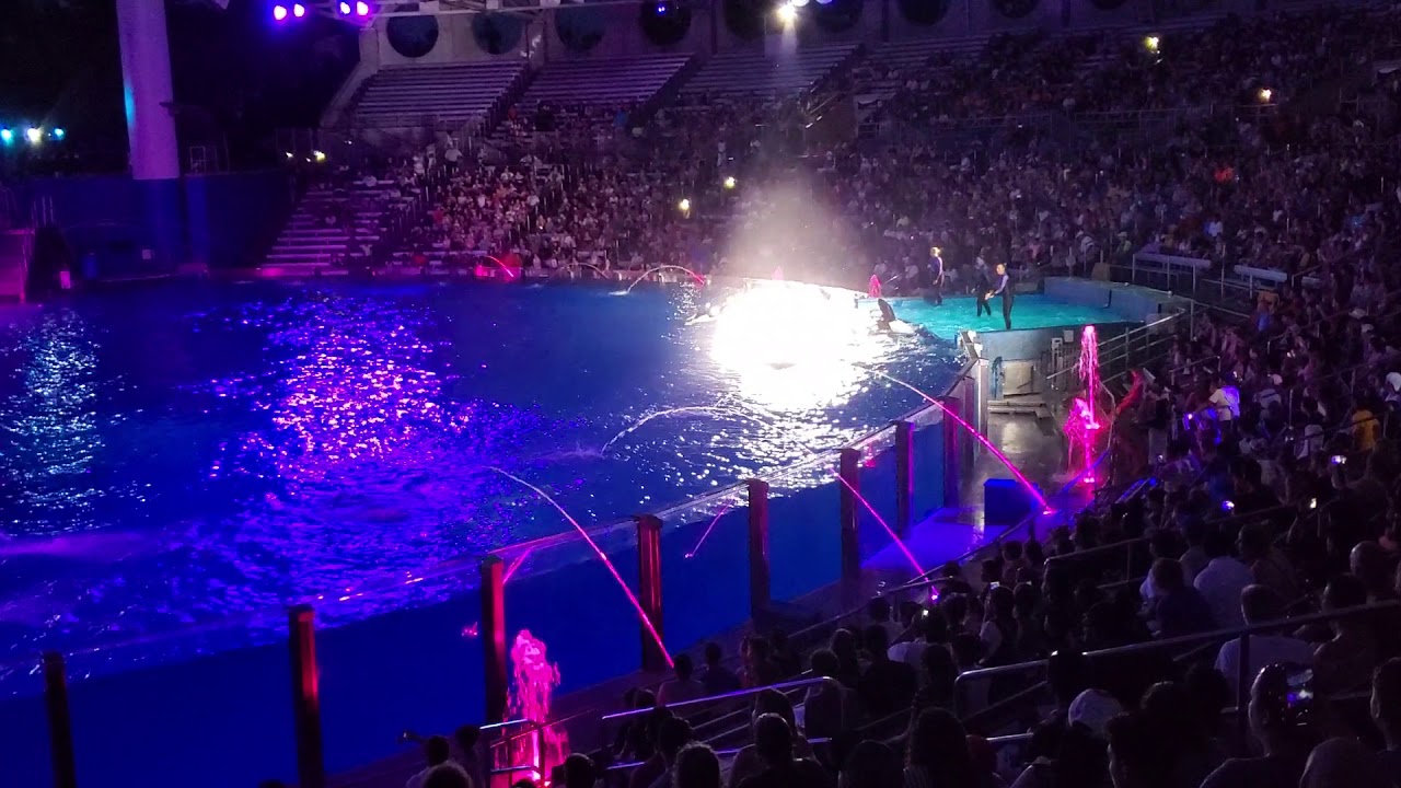 Fun Splash Time at SeaWorld - YouTube