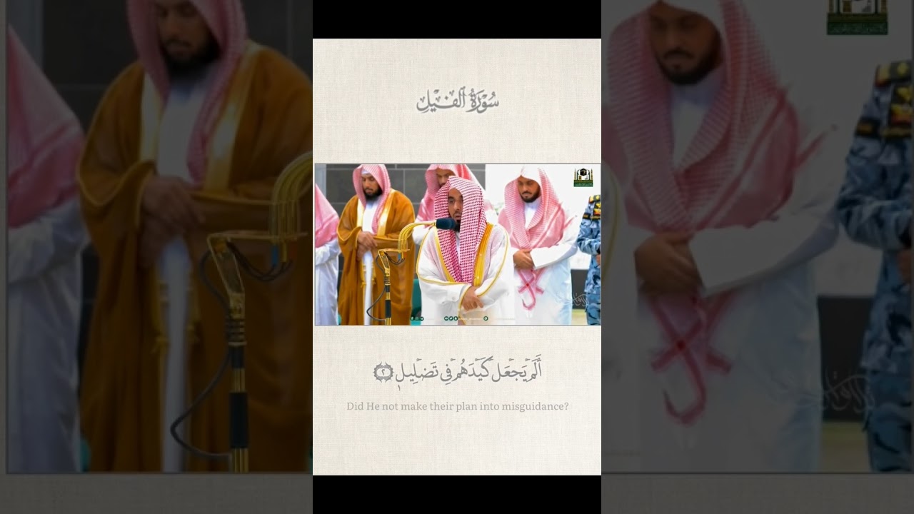"تلاوة في منتهى الجمال🤍"قطف من مغرب29-11-1444هـ #عبدالله_الجهني #tilawat #shorts #تلاوات #بلبل_الحرم