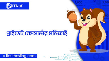 How to Modify Private Nameserver - IT Nut