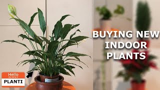 Buying New Indoor Plants | IKEA | Eat All You Can | Super Bowl Asian Café