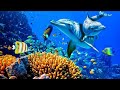 Relaxing music to relieve stress anxiety and depression  mind body  soothing music for nerves