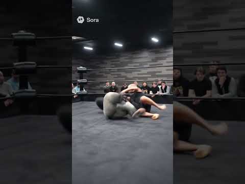 ๐ฆ Jake Paul Wrestles Gorilla Absolutely Wild!๐ฅ#shorts #funnyshorts #animalshorts #comedyshorts