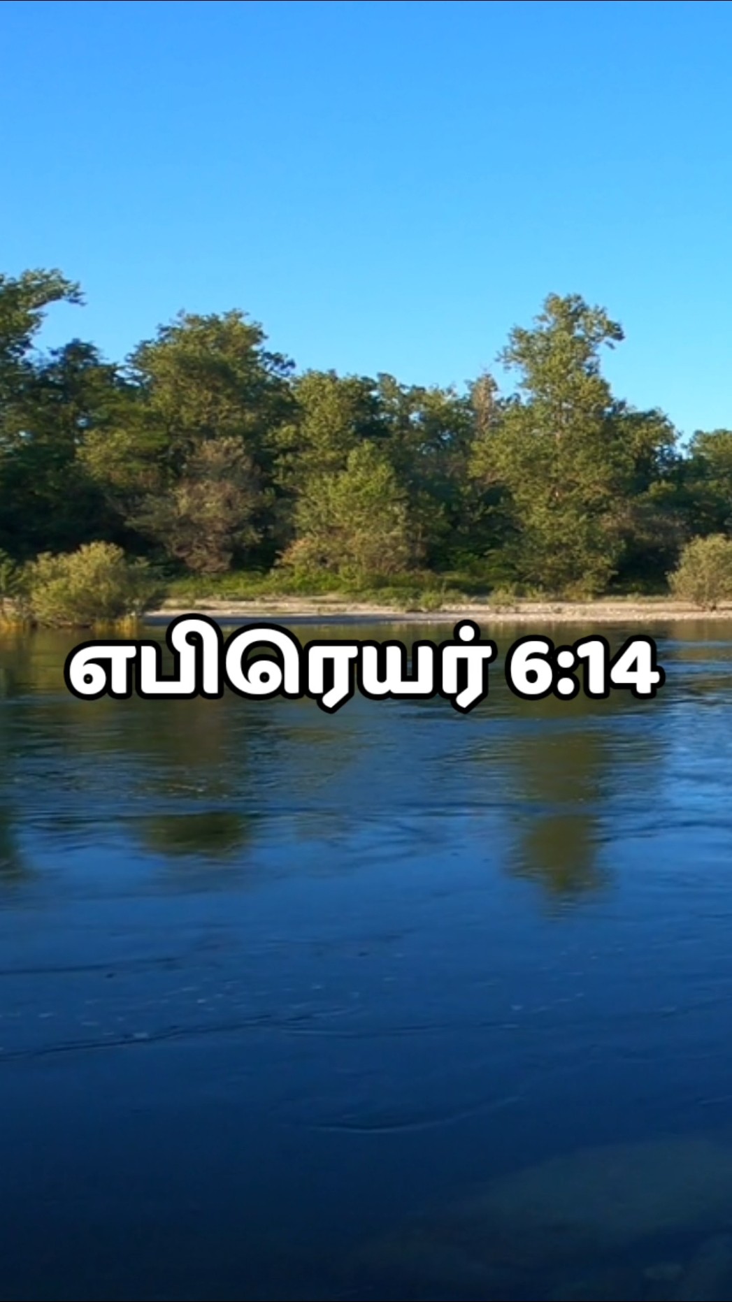 ✝ இயேசு வருகை ✝ - ShareChat