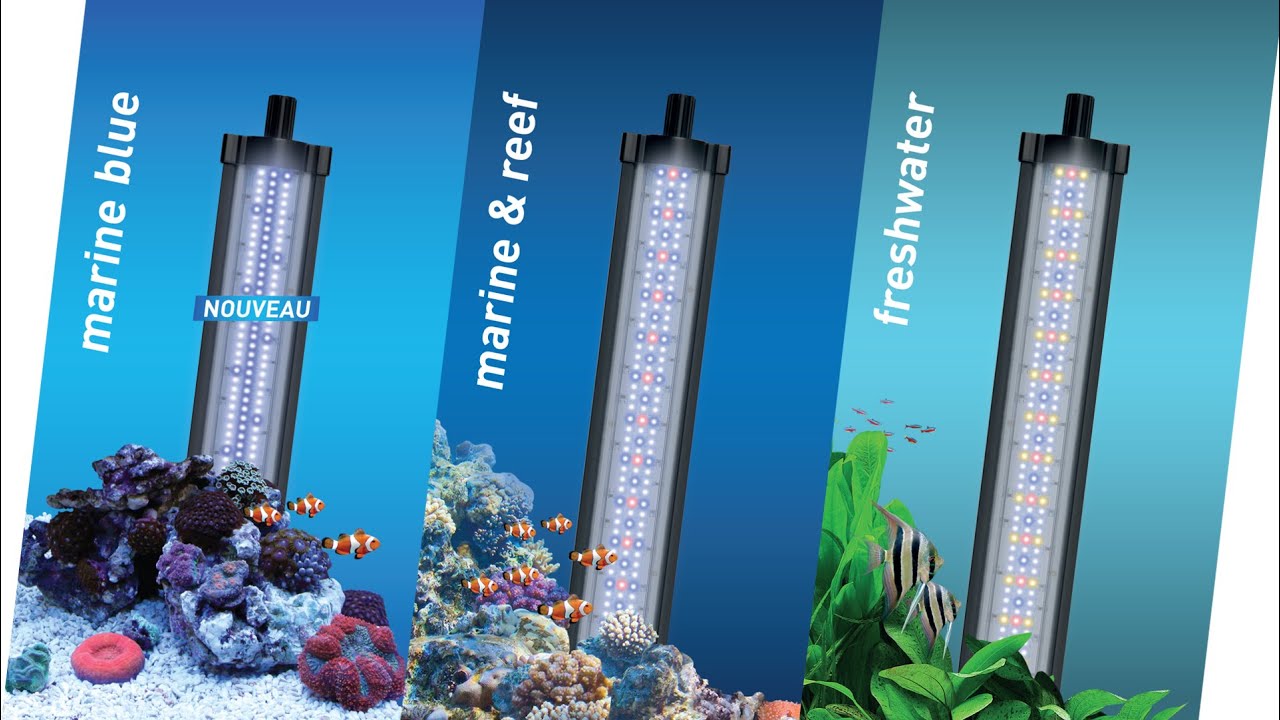 AQUATLANTIS Rampe LED EasyLED Universal 2.0 590mm - aquarium eau douce