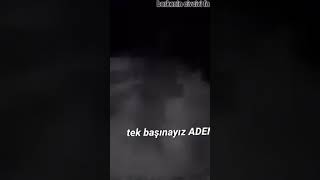 Yarber Edi̇t Duygusaltek Başinayiz Aden