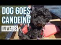 Want to canoe - Hay on Wye