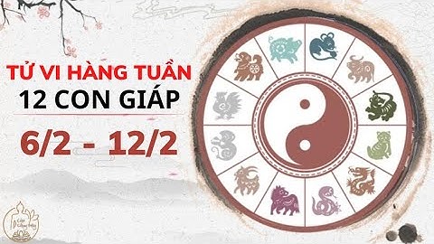 Tử vi tuần mới từ 6/2 đến 12/2/2023 của 12 con giáp #phatphongthuy