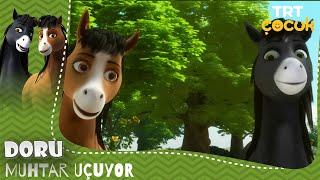 Doru | Muhtar Uçuyor