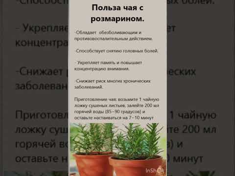 Польза чая с