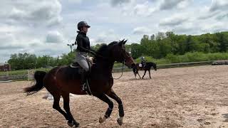 20. Emma Edelman 2026 Jumping lesson on EWS school horse