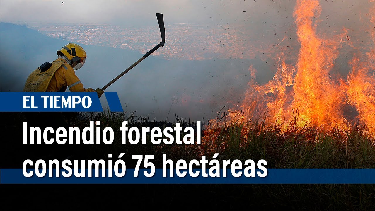 En el municipio de CÃ¡queza incendio forestal consumiÃ³ 75 hectÃ¡reas | El Tiempo - EL TIEMPO
