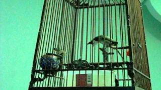 DSCN4945.AVI