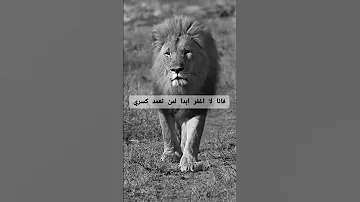 رايناكم في المواقف فلا تكثروا الحديث 