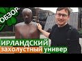 Средненький университет может быть топовым для тебя