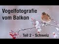 Balkonfotografie 2.0 - Singvögel vom Balkon in der Schweiz fotografieren