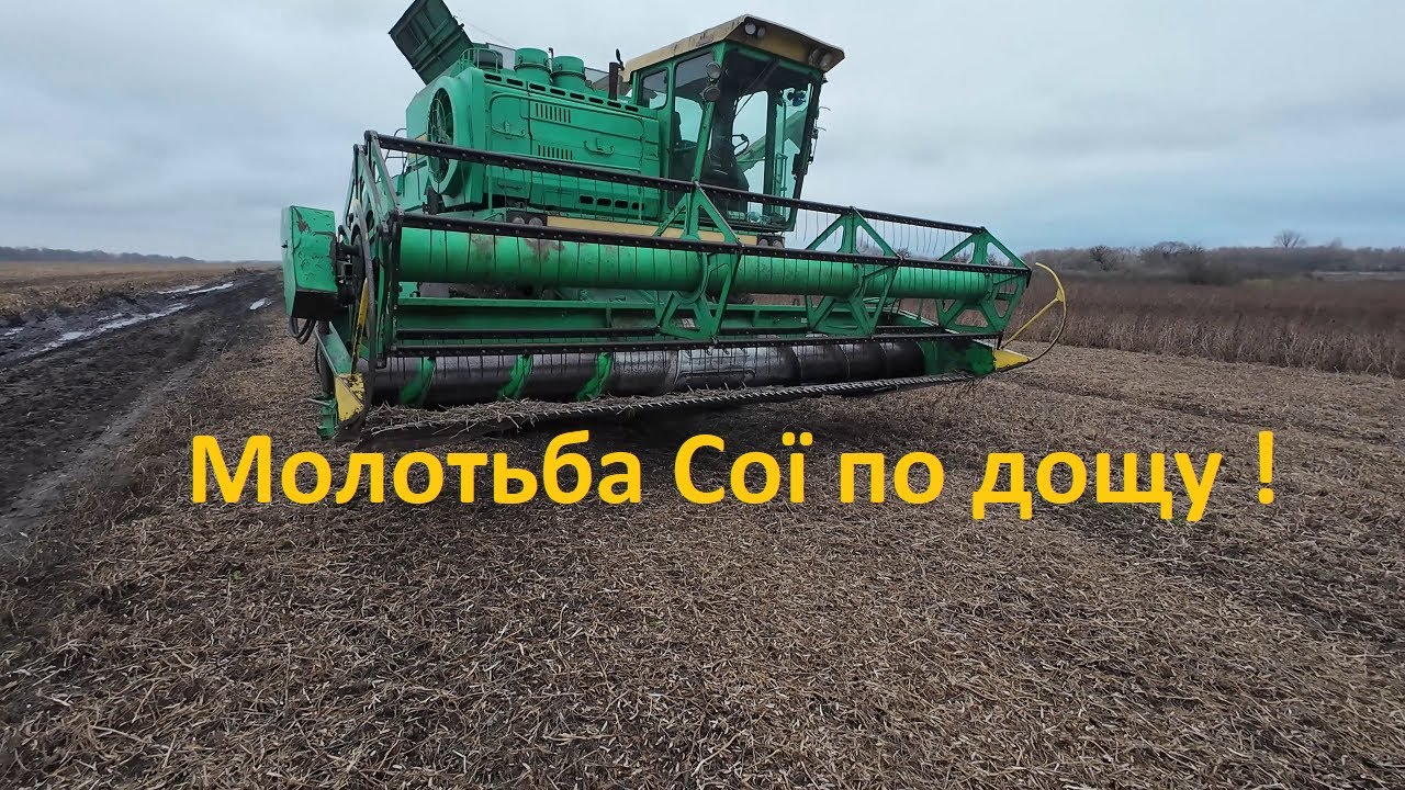 Важкі жнива Сирої сої !