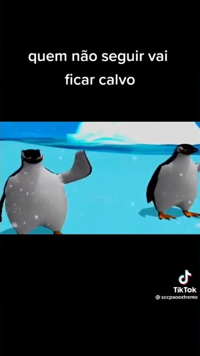 é o calvo a tropa penguins｜TikTok Search