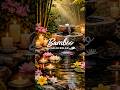 Bamboo Relaxing Music 🌿Sleep, Meditation &amp; Calm Sounds #bamboo #relax #bamboosounds #relaxingmusic